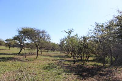 Vacant Land / Plot For Sale in Marloth Park, Marloth Park