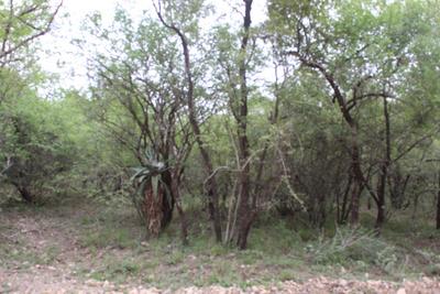 Vacant Land / Plot For Sale in Marloth Park, Marloth Park