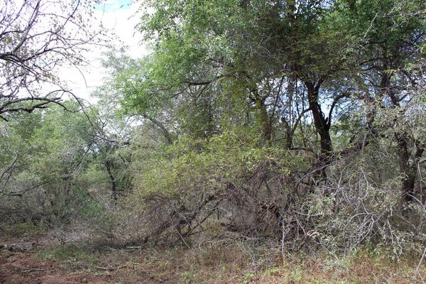 Property For Sale in Marloth Park, Marloth Park